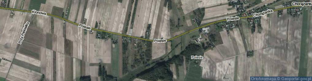 Zdjęcie satelitarne Polesie ul.